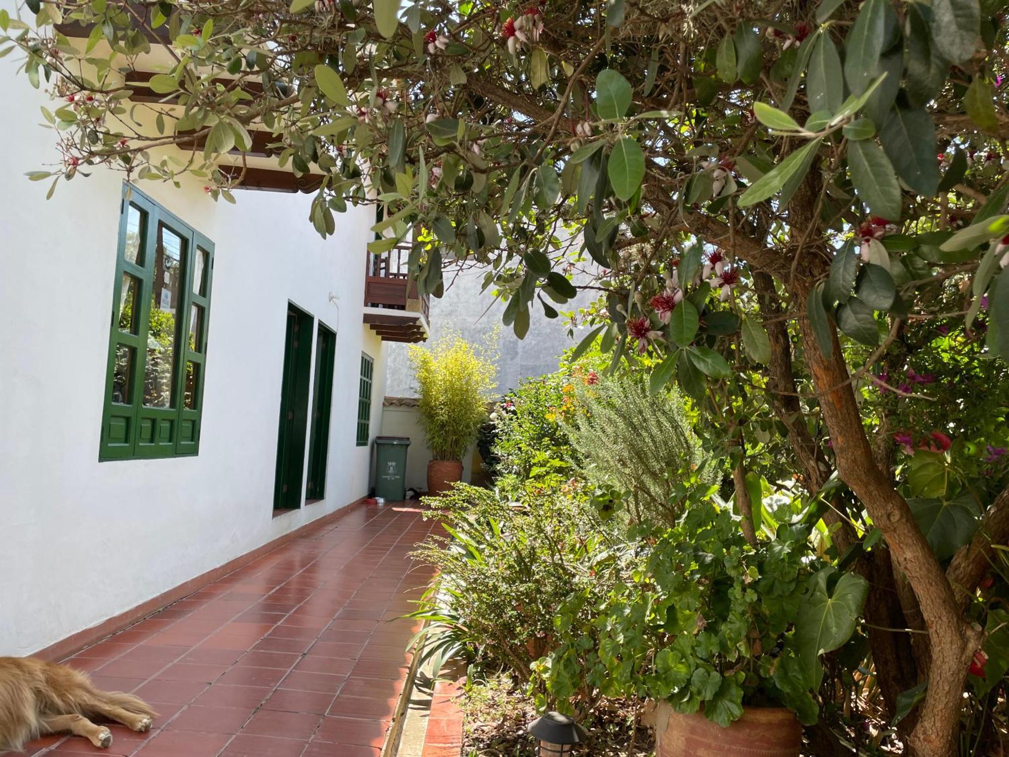 Hostal El Pino Villa de Leyva Dış mekan fotoğraf